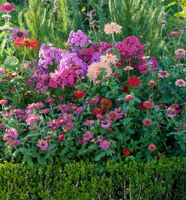 Vrt ne mora biti prevelika briga