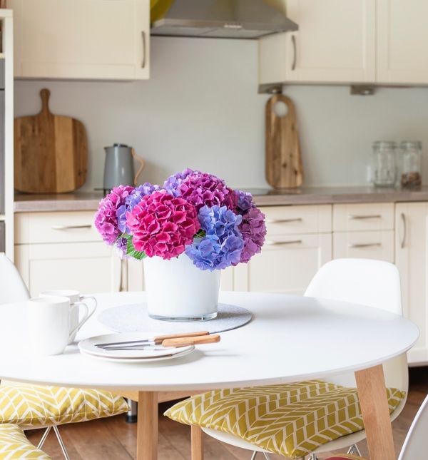 Pazite da ne upadnete u zamke tijekom uređenja