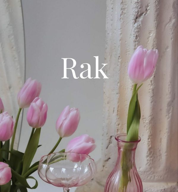 Rak