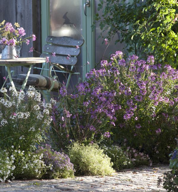 Odaberite pravu boju cvijeća za mali vrt