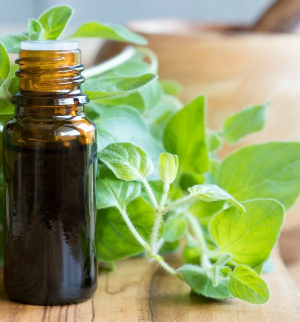 Ulje divljeg origana