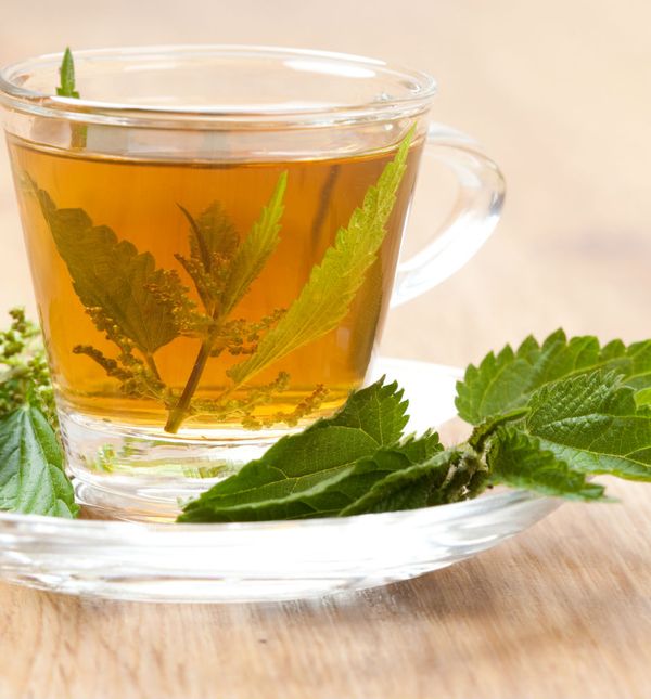 Čaj ZIP sadrži list borovnice, list maline, koru šipka, list koprive, list jagode, maslačak i druge vrijedne sastojke