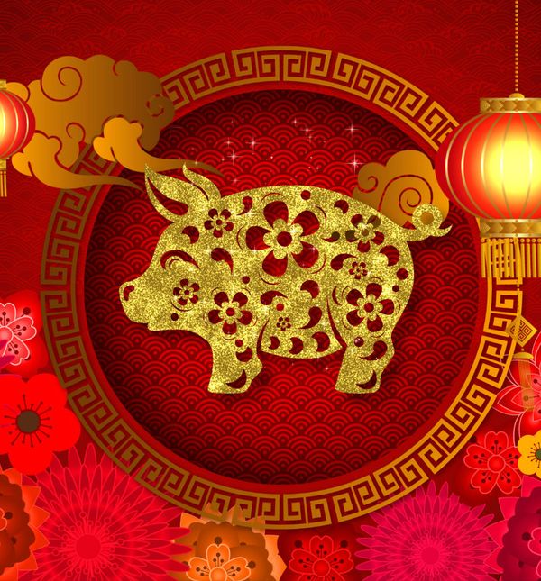 Po Kineskom horoskopu 2019. je godina zemljane svinje