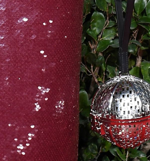 Torbica Nicole Kidman podsjeća na diskokuglu