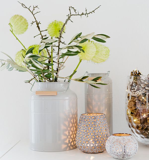 Češeri u svaki dom unose dašak prirode