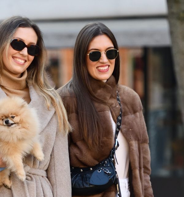 Trio sa zagrebačke špice