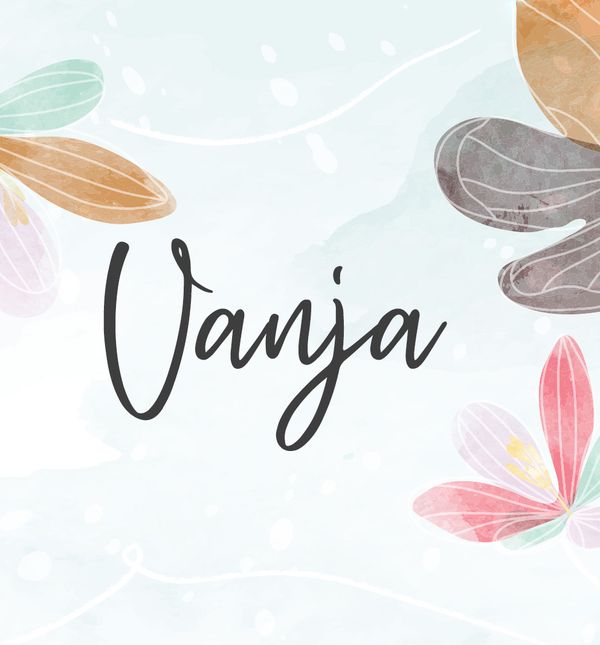Vanja je ime ruskog porijekla, a može biti i žensko i muško