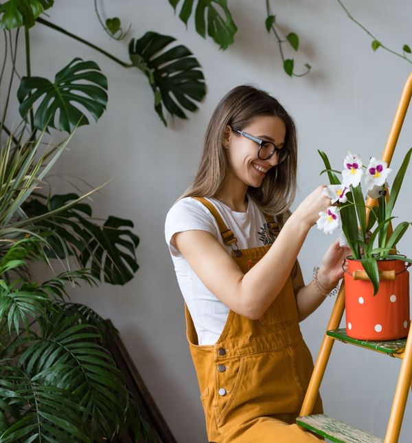 Kućni uzgoj biljaka jedan je od hobija u kojima ćete uživati