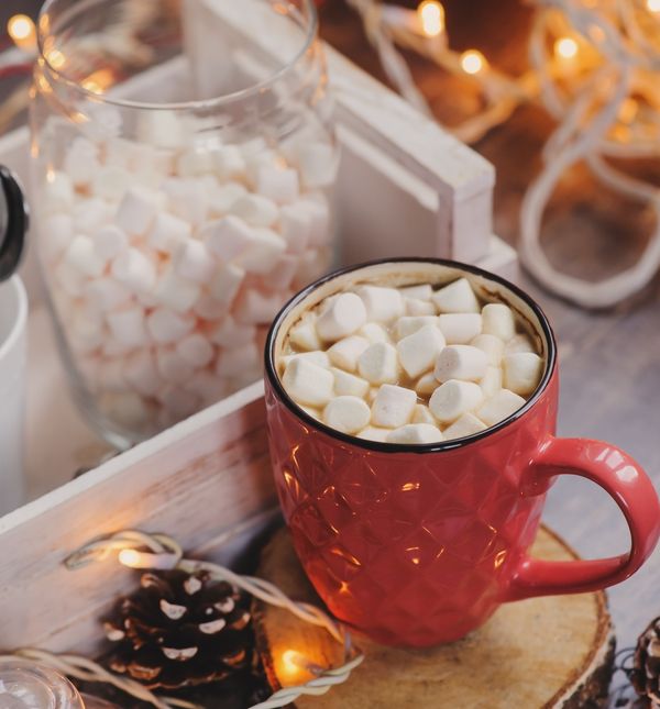 Lampice mogu biti predivan ukras i kad prođe Božić