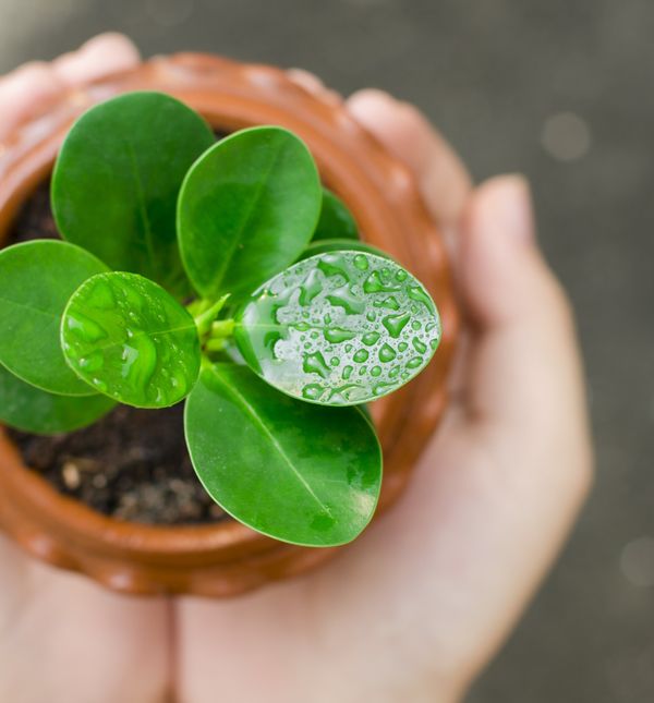 Prevelik teret i preuzimanje previše obveza dovest će vas na rub granica izdržljivosti