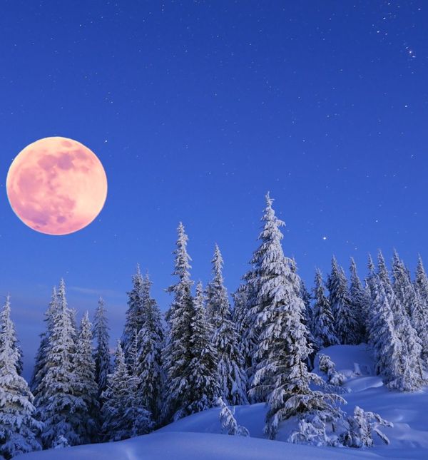 Prvi puni Mjesec u 2025. godini poznat je kao vučji Mjesec