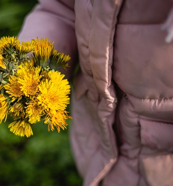 Teorija Dr. Thomasa Boycea objašnjava je li vaše dijete poput maslačka, orhideje ili tulipana