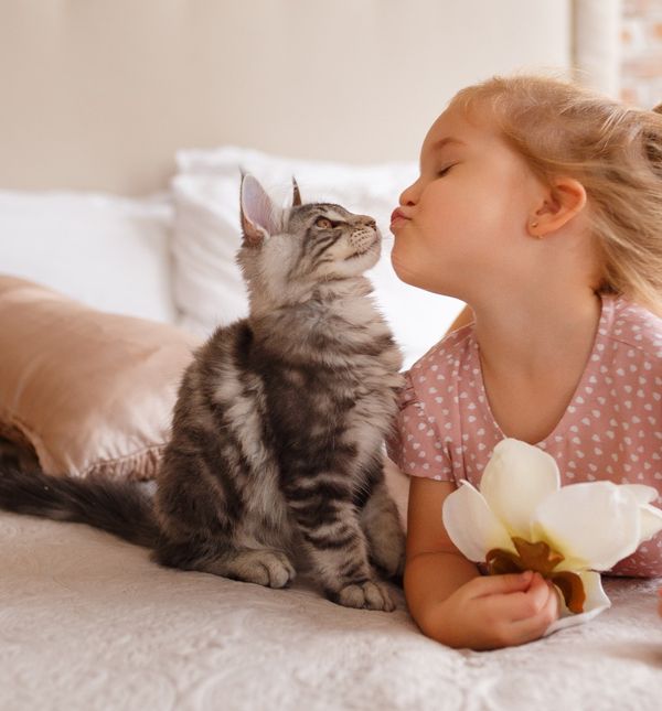 Što vi kažete na davanje