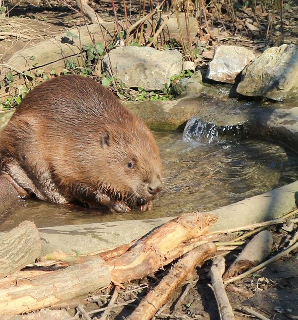 Do kraja veljače u zagrebačkom zoo vrtu održavat će se Egzotične subote