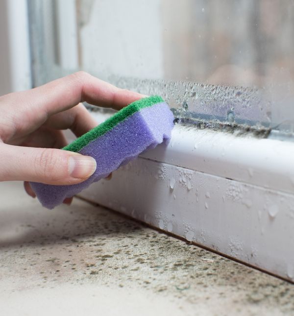 Ispravna detekcija uzroka problema i stanja građevine temelj je odabira pravilnog rješenja problema vlage