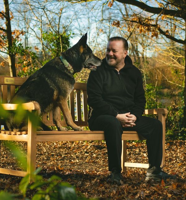 Serija After Life pravi je primjer serije za utjehu