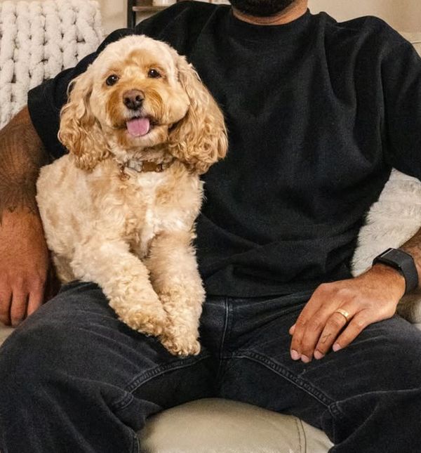 Preslatki pas Luna na Instagramu ima više od 1,2 milijuna pratitelja