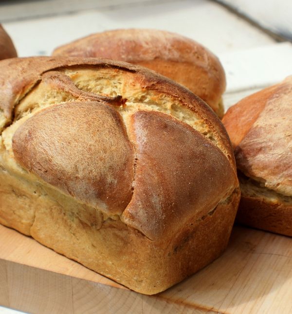 Stari kruh moguće je vratiti u život