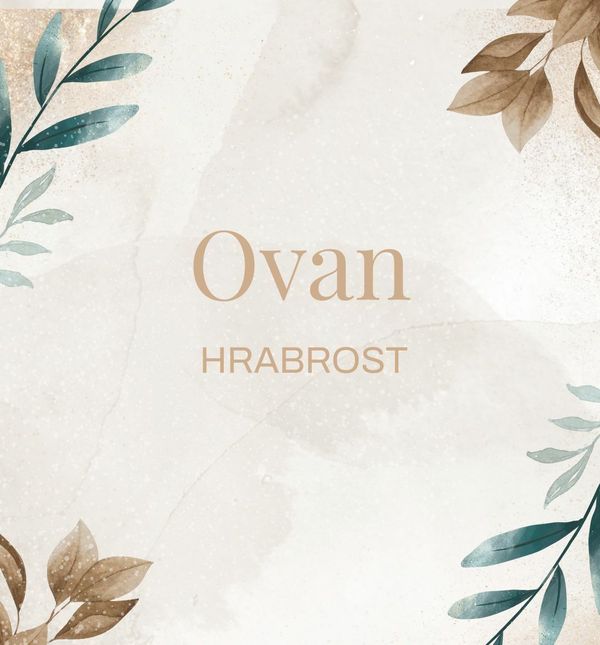 Rečenice koje će obilježiti svaki znak u 2026.