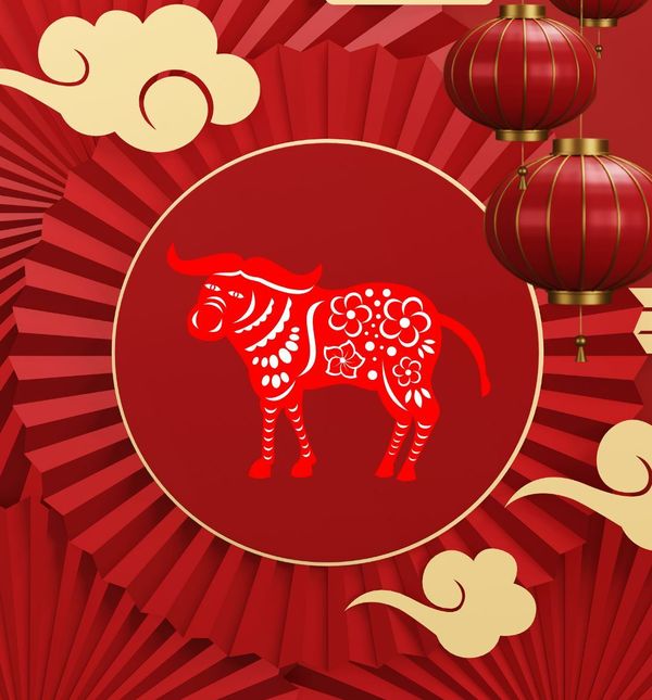 Kineski horoskop za bivola