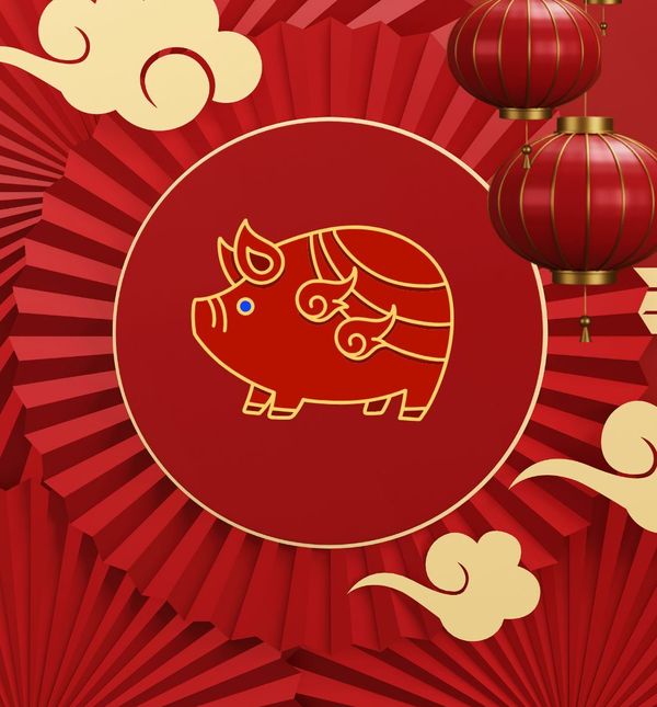 Kineski horoskop za svinju