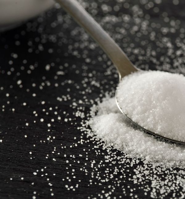 Možda zvuči nevjerojatno, ali žlica s mješavinom šećera i vode može spasiti pčele, ljude i naš planet