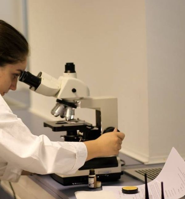 Tvornica znanosti pred djecu postavlja kreativne zadatke - 3