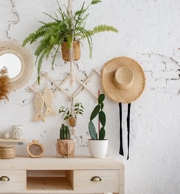 Jednako kao što biljke ne vole propuh, ne vole ni hladan zrak iz klima-uređaja