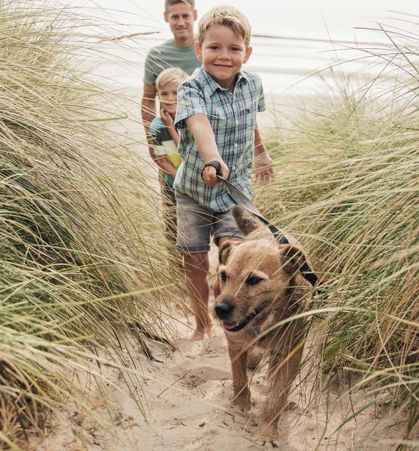 Odlazak na more s kućnim ljubimcem