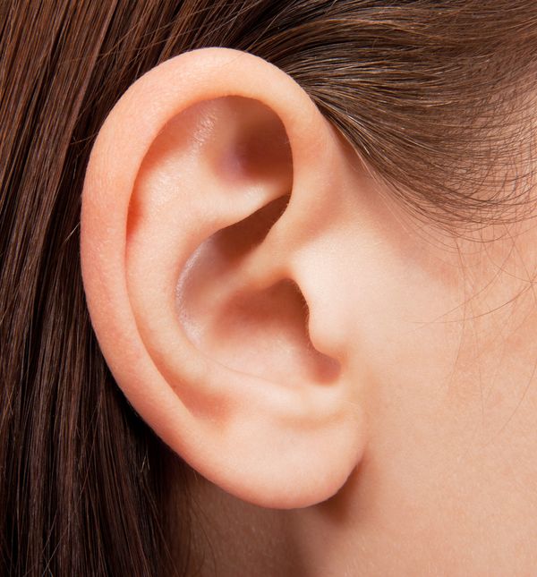 Upale uha česta su pojava tijekom ljeta