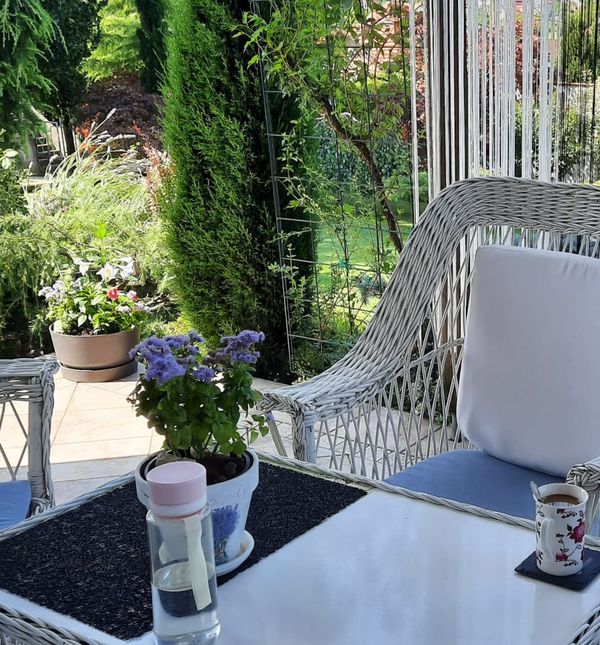 Dvorište Marice Jurakić iz zagrebačke Dubrave jedno je od najljepših