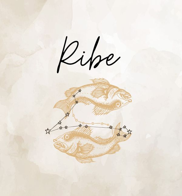 Ribe
