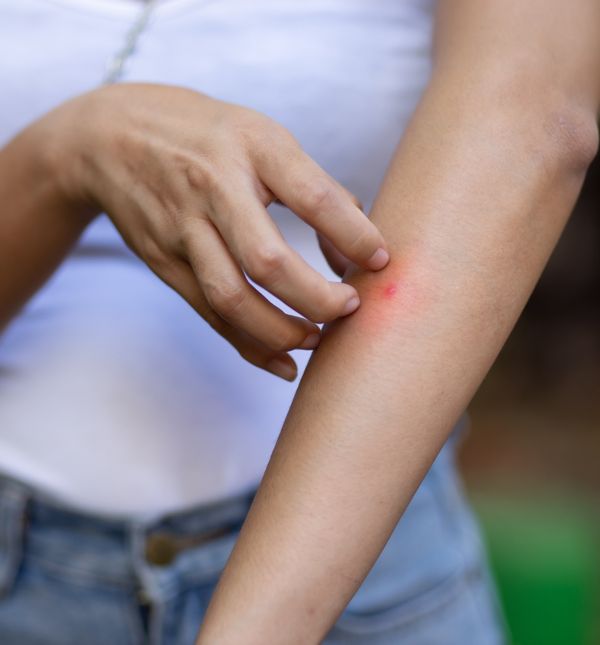 Crna kava pomaže otjerati komarce