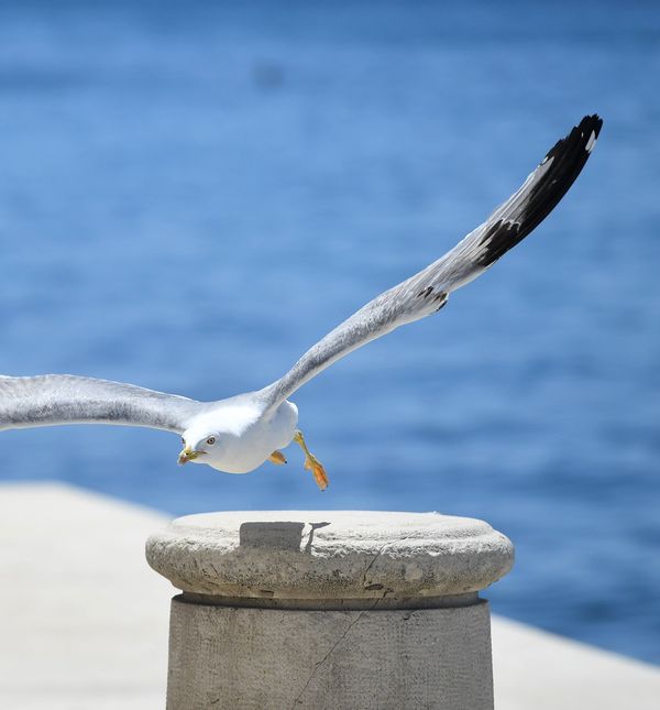 More jest (slana) voda. Voda pak nije more