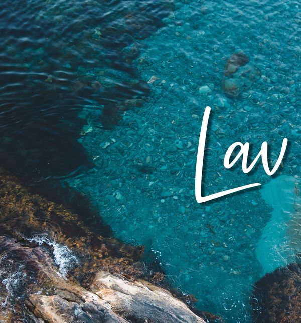 Mjesečni horoskop za kolovoz - 5