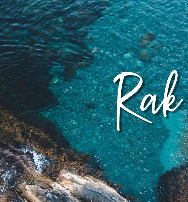 Mjesečni horoskop za kolovoz - 11