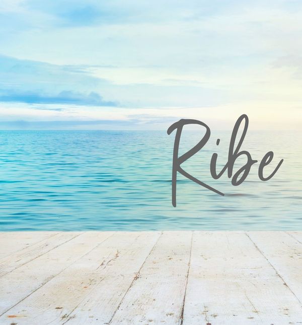 Ribe