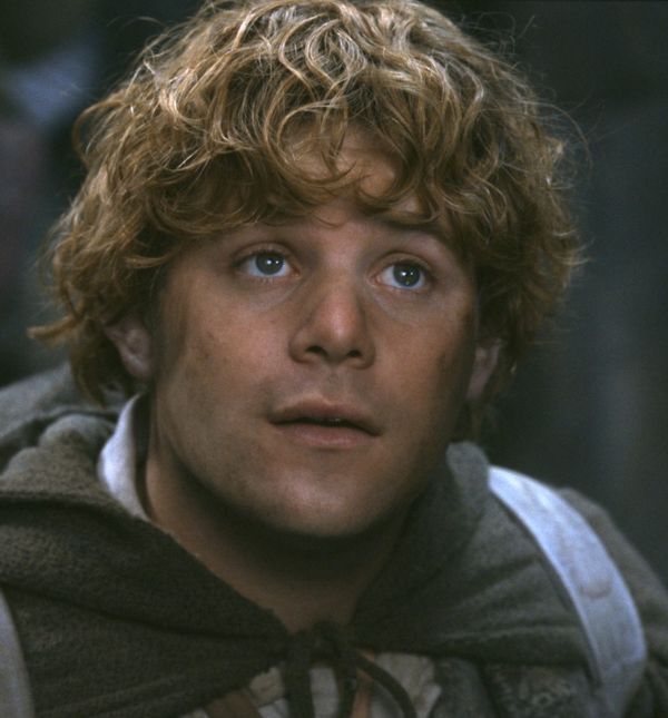 Sean Astin u Gospodaru prstenova