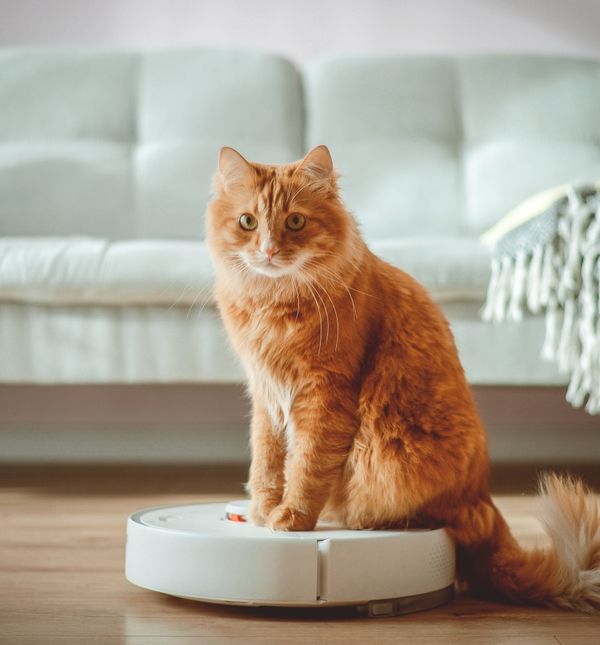 Svakoj životinji potrebno je vrijeme da se prilagodi na novu okolinu