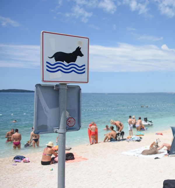 Dog friendly plaža Hidrobaza u Puli