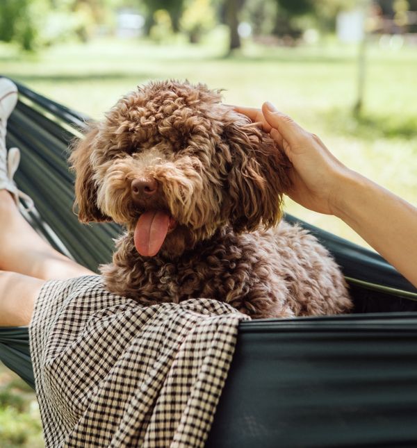 Ako osjećate da vam mir nije prirodan, to nije znak da s vama nešto nije u redu