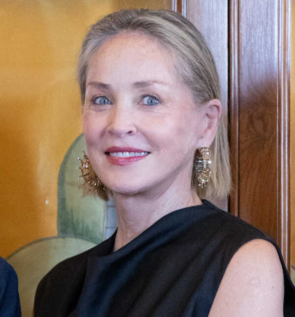 Sharon Stone uvijek osvoji svojim modnim odabirima