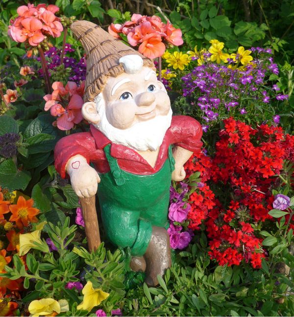 Patuljak je najslađi ukras vrta