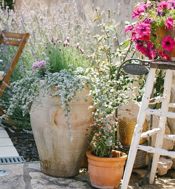 Prekrasan eksterijer uredila je Sabine Živić - 9