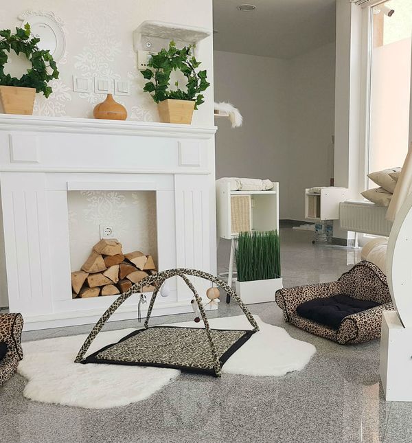 Prvi hotel za mačke u Hrvatskoj otvoren je u Dugom Selu