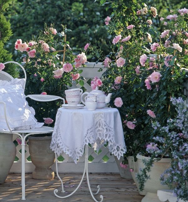 Predivan ružičnjak možete urediti i na balkonu