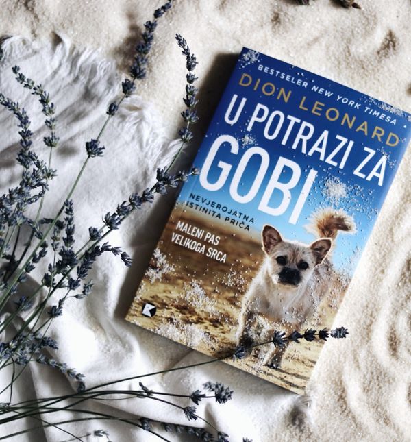 Naslovnica knjige 'U potrazi za Gobi'