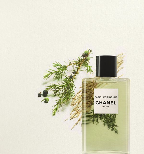 Bobice borovica i čempresa iz gornjih nota, aromatična lavanda te mošus i vanilija čine ovaj poseban miris