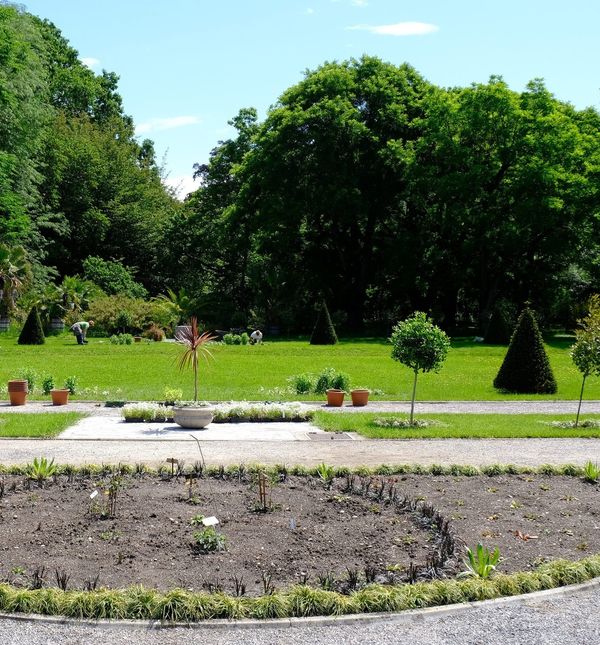 Botanički vrt u Zagrebu