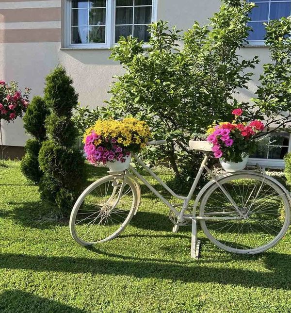 Medicinska sestra Marija Ričko ima najljepše dvorište u okolici Ludbrega